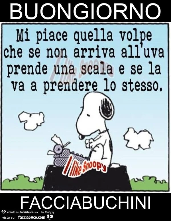 Buongiorno facciabuchini