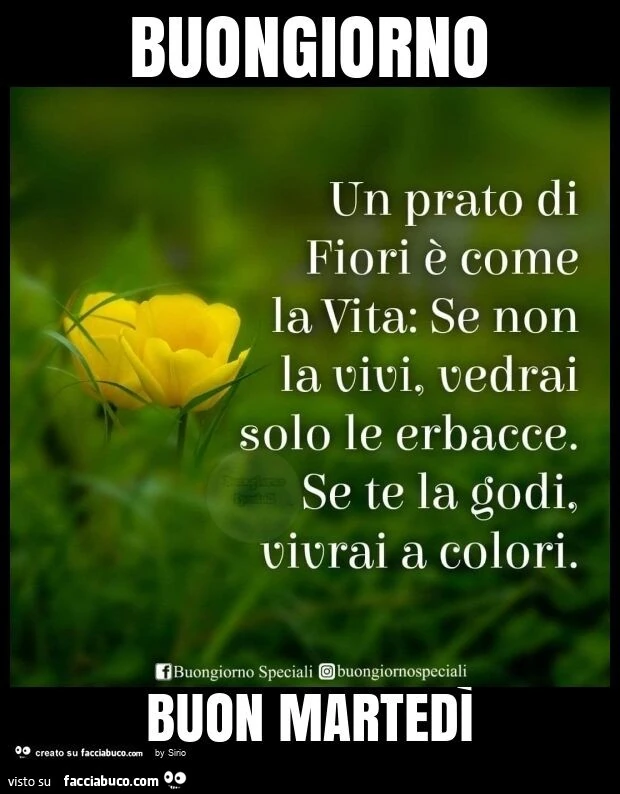 Buongiorno buon martedì