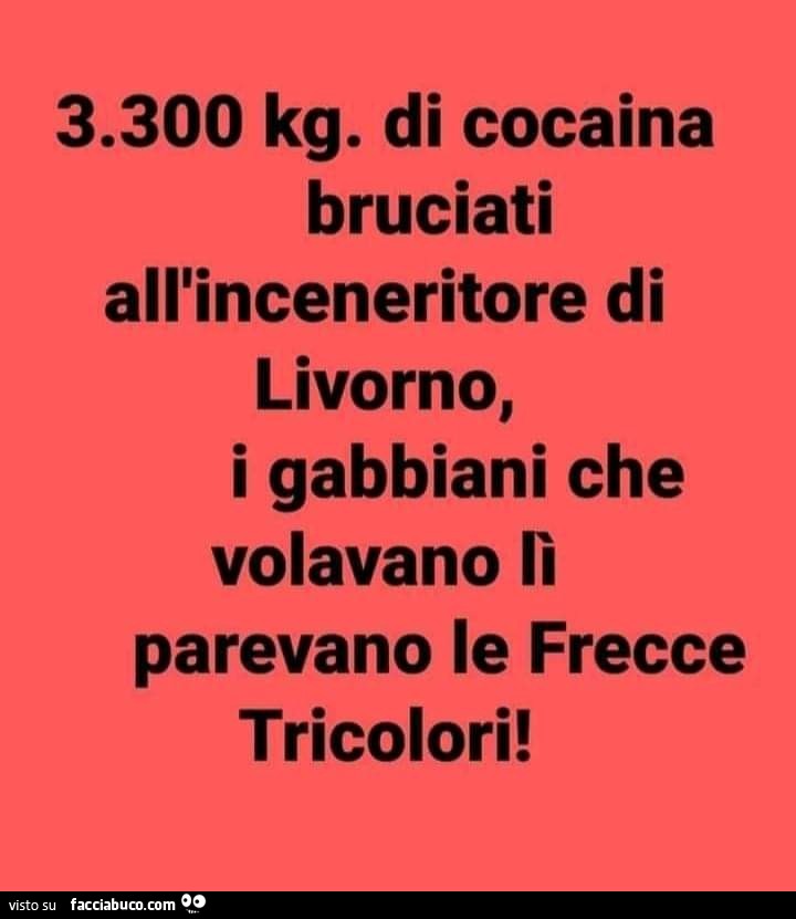 3.300 kg. Di cocaina bruciati all'inceneritore di livorno, i gabbiani che volavano lì parevano le frecce tricolori