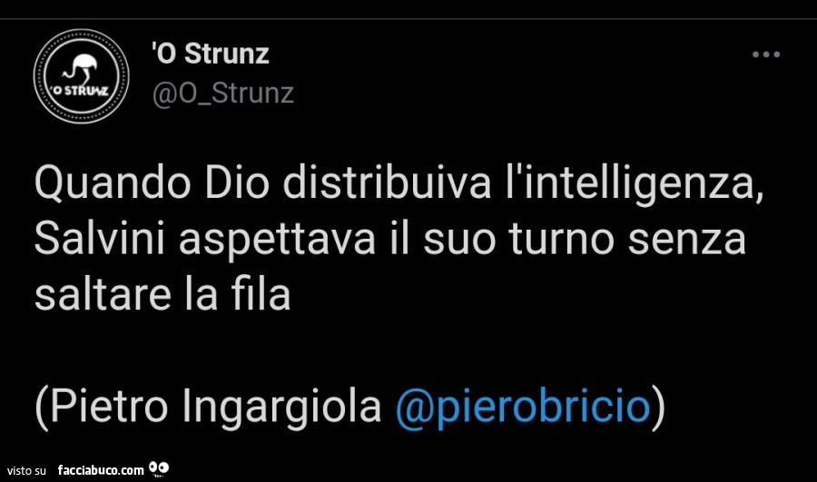 Quando dio distribuiva l'intelligenza, salvini aspettava il suo turno senza saltare la fila