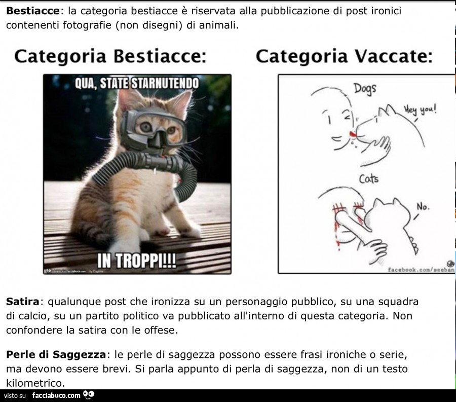 Vaccata