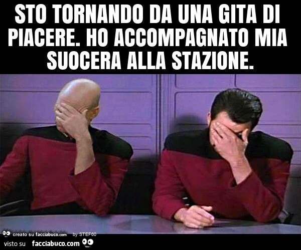Sto tornando da una gita di piacere. Ho accompagnato mia suocera alla stazione