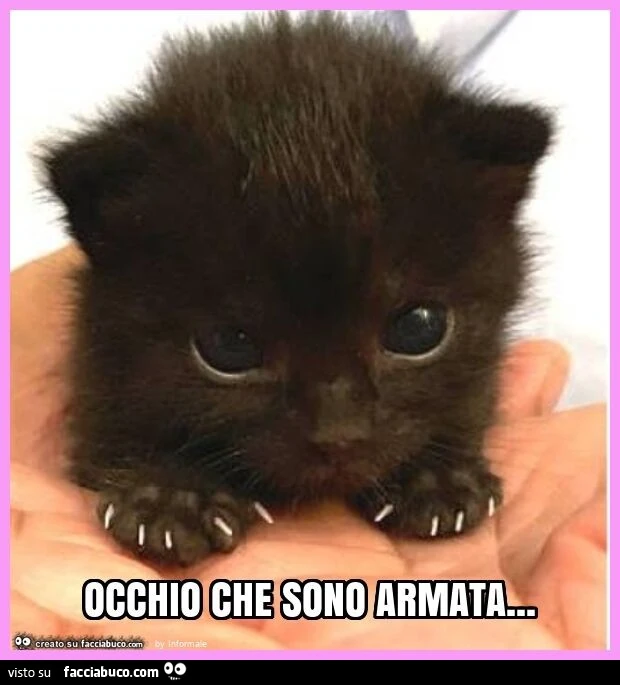 Occhio che sono armata