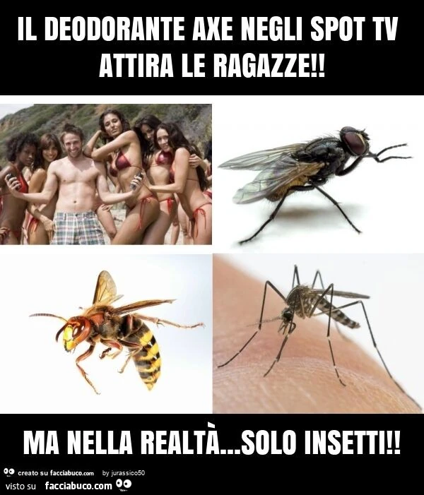 Il deodorante axe negli spot tv attira le ragazze! Ma nella realtà… solo insetti