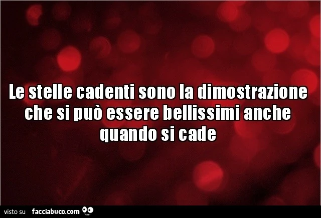 Le stelle cadenti sono la dimostrazione che si può essere bellissimi anche quando si cade