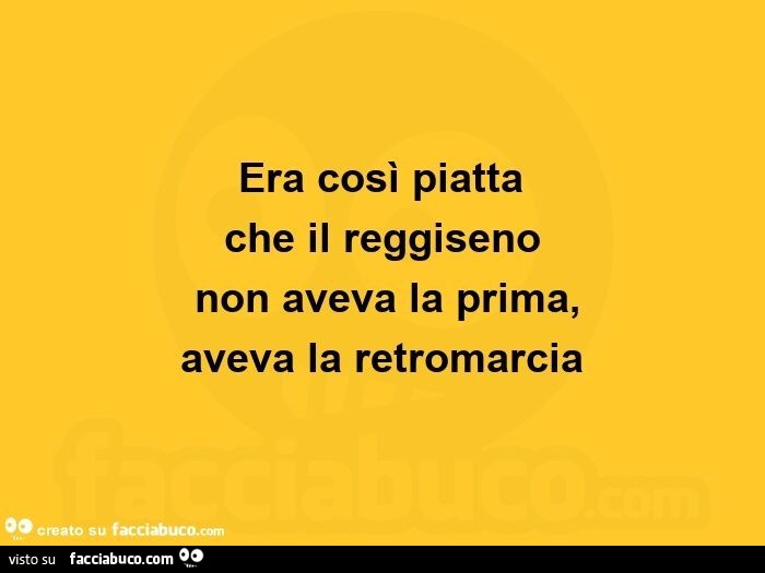 Era così piatta che il reggiseno non aveva la prima, aveva la retromarcia