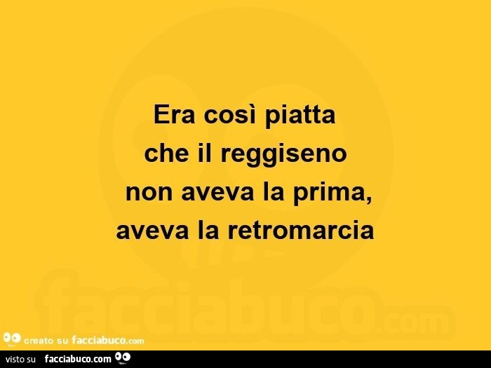 Era così piatta che il reggiseno non aveva la prima, aveva la retromarcia