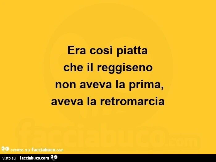 Era così piatta che il reggiseno non aveva la prima, aveva la retromarcia