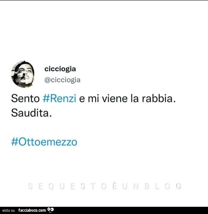 Sento renzi e mi viene la rabbia. Saudita