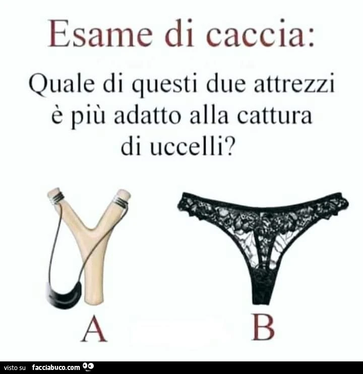 Esame di caccia: quale di questi due attrezzi è più adatto alla cattura di uccelli?
